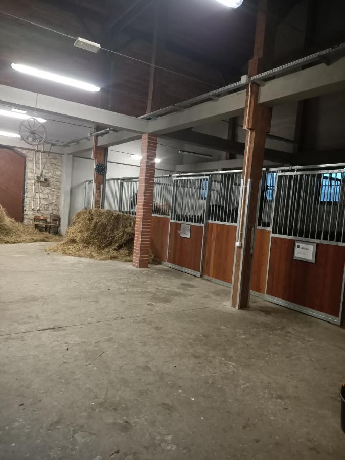 Apartament U Agaty Czernichow Krakow Zator Екстериор снимка